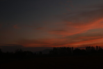 Golden light and silhouette in the morning