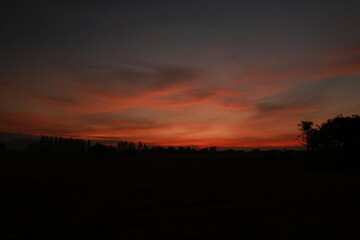 Golden light and silhouette in the morning