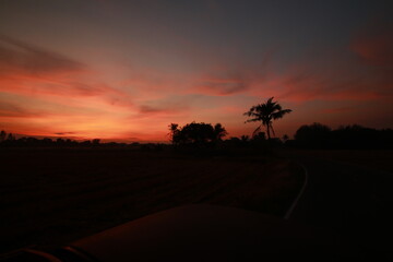 Golden light and silhouette in the morning