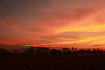 Golden light and silhouette in the morning