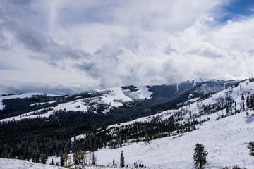 Yellowstone National Park (Autumn)