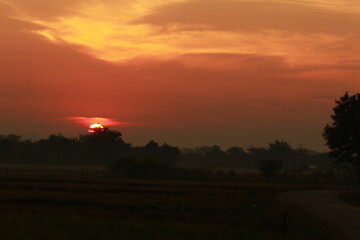 Fototapeta na wymiar Golden light from sunrise and silhouette in the morning