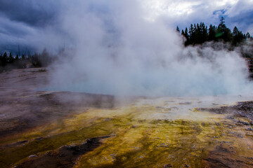 Yellowstone National Park (Autumn)