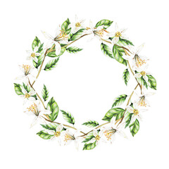 Fototapeta premium Lemons, Flowers and Leaves, Watercolor wreath .Fruits.