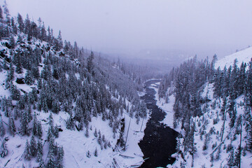 Yellowstone National Park (Winter)