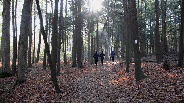 People jogging in the trail inside a natural forest in a National Urban Park in Toronto, Ontario, Canada