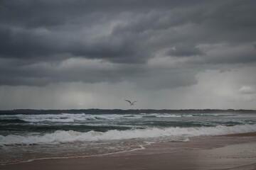 Phillip Island Victoria Australia