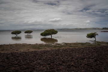 Phillip Island Victoria Australia