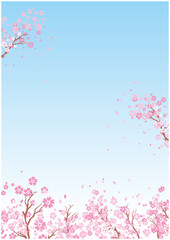 桜　空　春