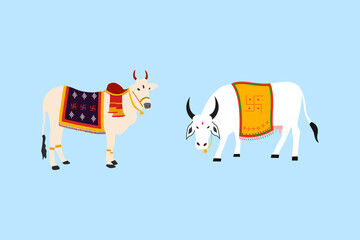 cartoon beautiful indian ox and cow decorated for Pongal festival isolated on blue background illustration. 
