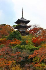 Obraz premium 三渓園(横浜市中央区・本牧） 旧燈明寺三重塔 三渓園は実業家で茶人である原三渓により造られた日本庭園。起伏を活かした庭園の中に重要文化財に指定された建物などが、風情ある景観を生み出している。