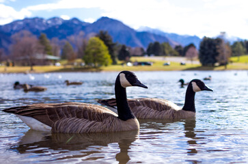 Lifestyle in Utah