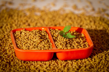 Methi seeds and green leaf beautiful footage,Fenugreek seeds in a bowl with green leaves on a beautiful background,