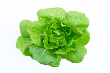 Butterhead Lettuce on white background.