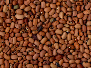 Soybean seed background ready to be processed