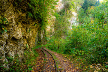 Old narrow gauge railway in mountain region.