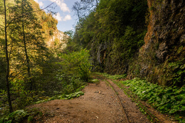 Obraz premium Old narrow gauge railway in mountain region.
