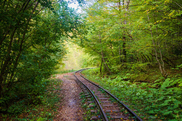 Fototapeta na wymiar Abandoned railway in autumn mountain forest with foliar trees in Caucasus, Mezmay