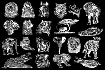 Graphical set of african animals isolated on black background,vector engraved illustration