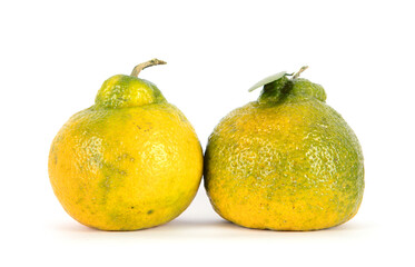 Two ugly tangerines on white background