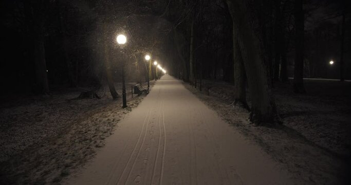 Walking in park while snowing in winter night