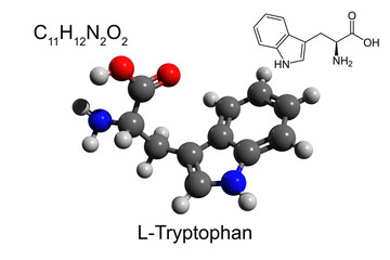 Chemical formula, skeletal formula and 3D ball-and-stick model of L-tryptophan, an essential amino acid, white background