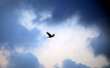 flying in the sky