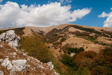 Matese Regional Park.  It is a protected natural area of Campania.  Established with regional law...
