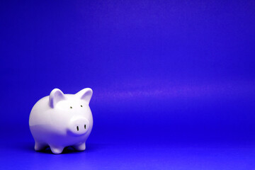 White Piggy bank on Blue background with copy space for text message - Fund , Investment , Saving money - Blue pattern of Banking and Stable financial concept 