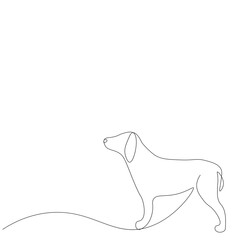 Dog line drawing vector illustration