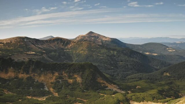 Aerial green mountain ridges. Fir forets on hills, tops. Nobody nature landscape. Greenery rocks at sunny day. Cinematic summer vacation to Carpathians mount ranges, Ukraine, Europe