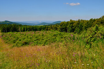 Fototapeta na wymiar Landschaft am Himmeldunkberg im Bioshärenreservat Rhön zwischen Hessischer Rhön und Bayerischer Rhön, Deutschland