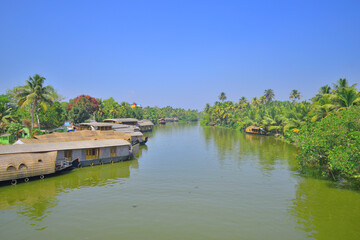 Fototapeta na wymiar House boats kept on the banks of kumarakom backwaters in Kerala. 