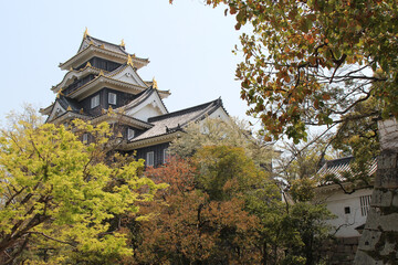 Naklejka premium castle in okayama in japan