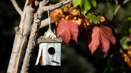 birdhouse
