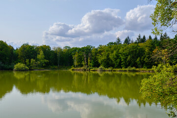 Fototapeta na wymiar Naturwaldreservat Wolfsee im südlichen Steigerwald bei Dornheim, Landkreis Kitzingen, Franken, Unterfranken, Bayern, Deutschland