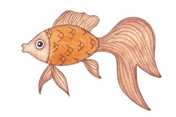 Goldfish. Cute yellow fish. Isolated hand painted watercolor illustration on white background