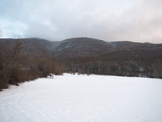 mountains and snow, in a winter day