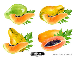 Papaya fruit composition set watercolor illustration isolated on white background