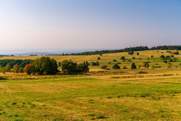 Fototapeta premium Das Naturschutzgebiet Lange Rhön in der Kernzone des Biosphärenreservat Rhön, Bayerischen Rhön, Landkreis Rhön-Grabfeld, Unterfranken, Bayern, Deutschland