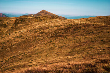 Autumn landscape in the mountains. 