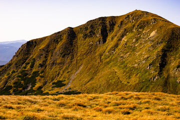 landscape in autumn