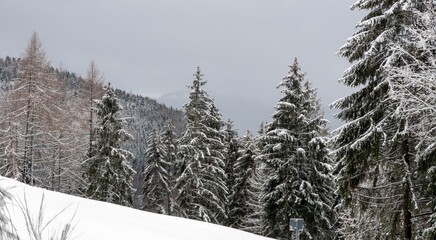 Obraz premium landscape with snow