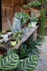 Beautiful summer green garden minimal style