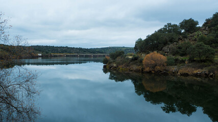 Reflection in a nature lake on a foggy day