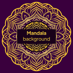 Floral mandala design elements. Vector illustration