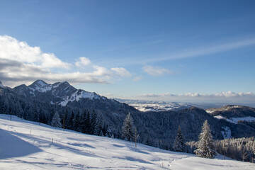 Fototapeta na wymiar les montagnes suisse en plein hiver sous la neige 