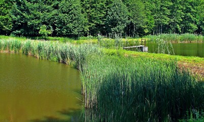 Dobcza , Krasne , Pawłowa , Cieplice , Dąbrowica , Ożańsk , Piskorowice