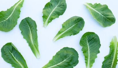 Lettuce leaves on white background. Top view