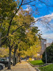 autumn in the city
